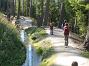 20080927_Bisse_de_Vex-009