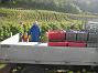 20081001_Vendange_Grone-006