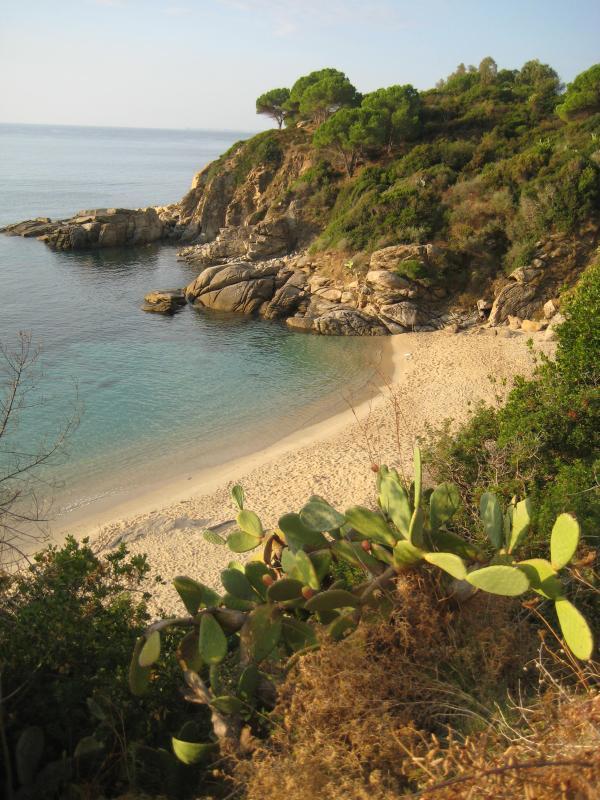 20091004_Cavoli_004.jpg