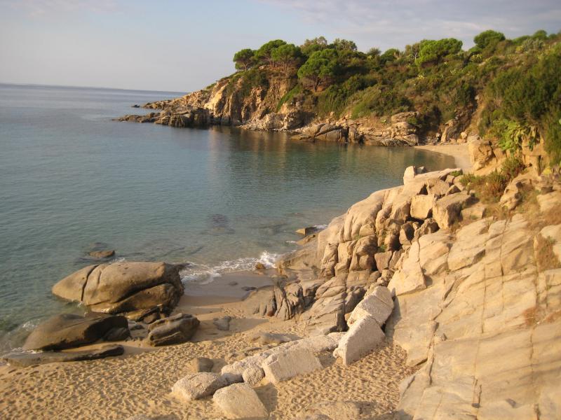 20091004_Cavoli_005.jpg