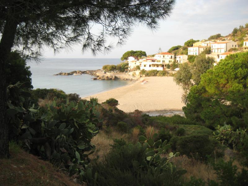 20091004_Secchetto.jpg