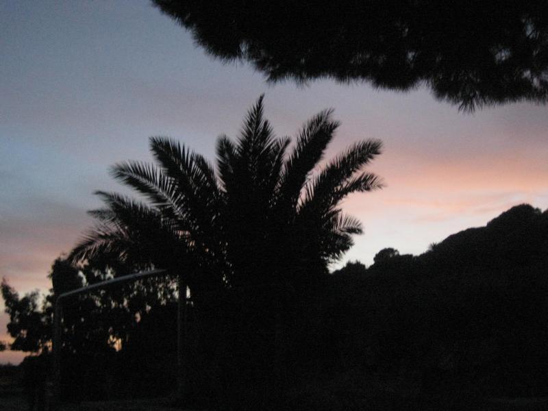 20091005_Elba_026.jpg