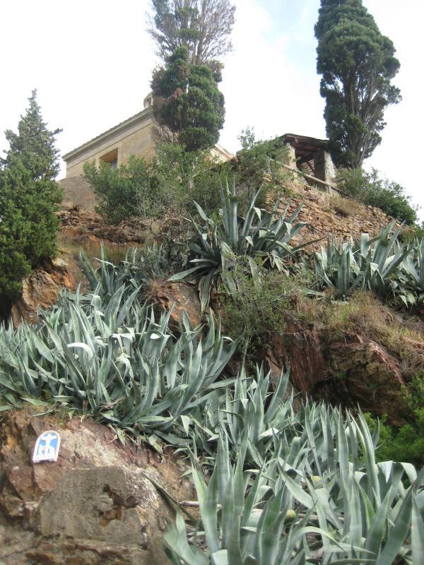 20091006_Elba_Nordosten_011.jpg