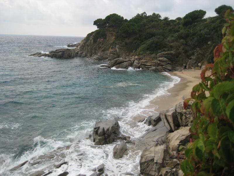 20091009_Cavoli_Wellen_009.jpg