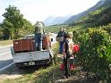 20090924_Vendange_Grone-009