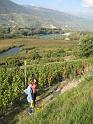 20090924_Vendange_Grone-012