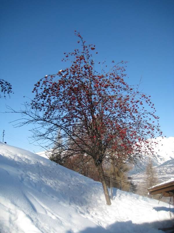 20100216_Nax-001.jpg