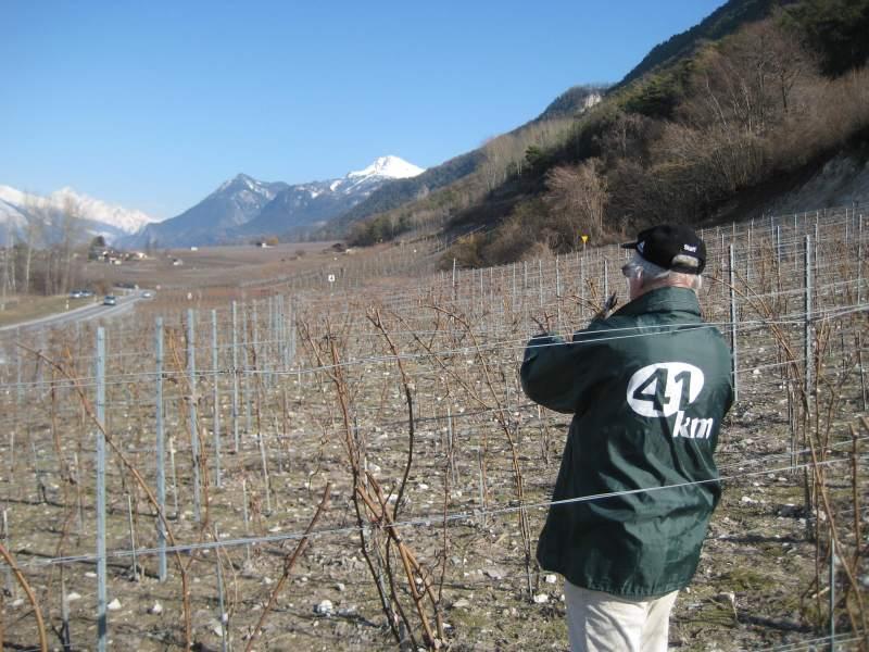 20100308_Wallis_Reben-007.jpg