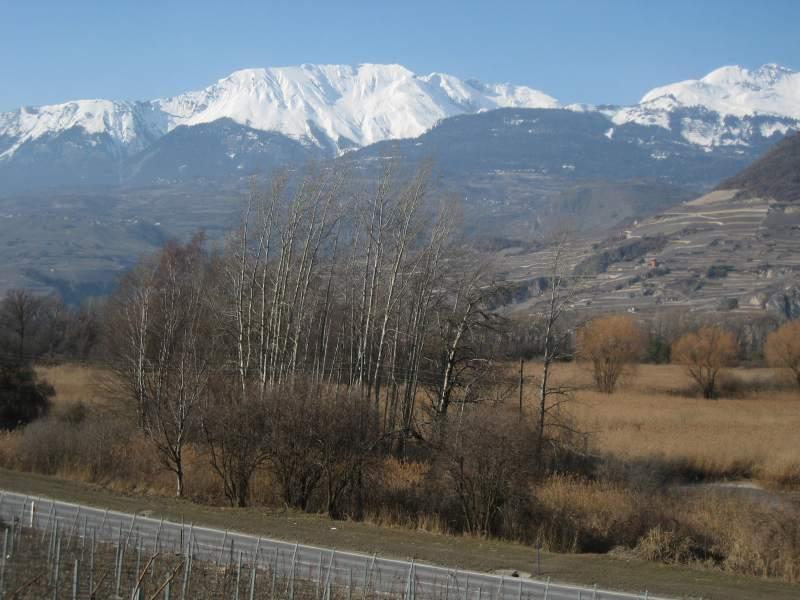 20100308_Wallis_Reben-009.jpg