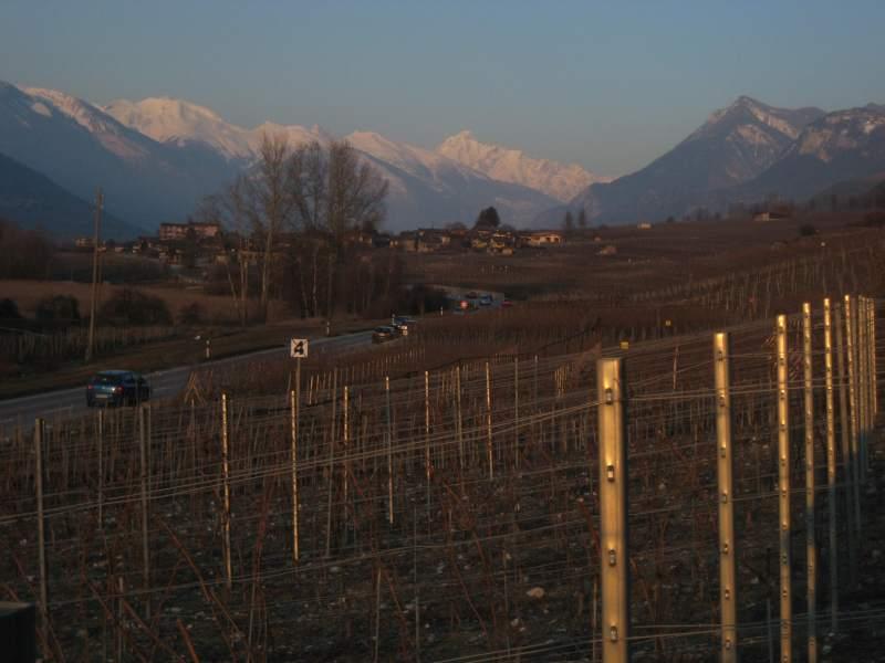 20100308_Wallis_Reben-015.jpg