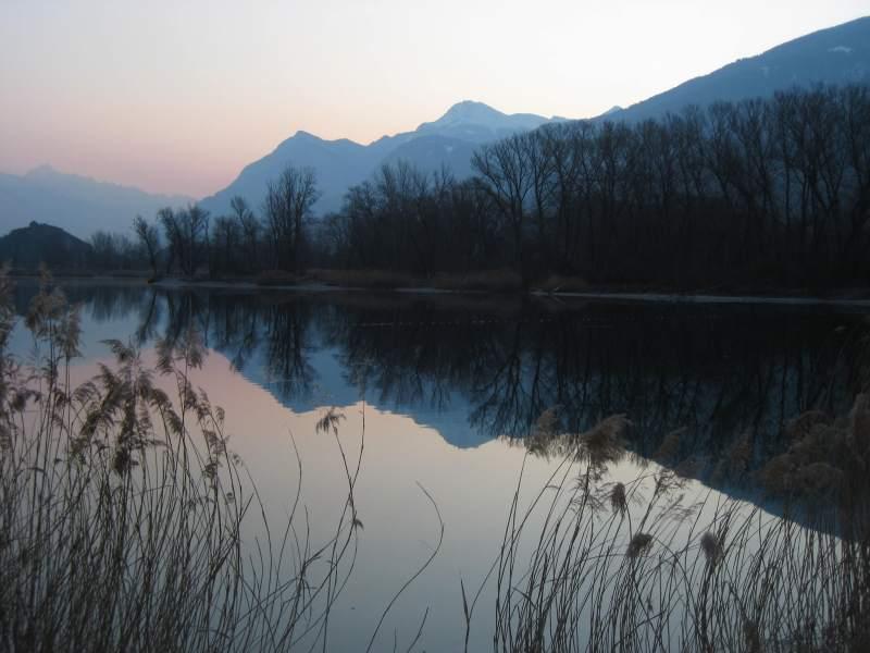20100309_Wallis_Reben-003.jpg