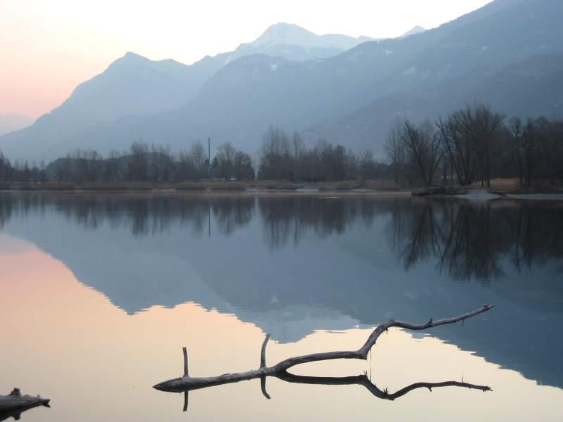20100309_Wallis_Reben-004.jpg