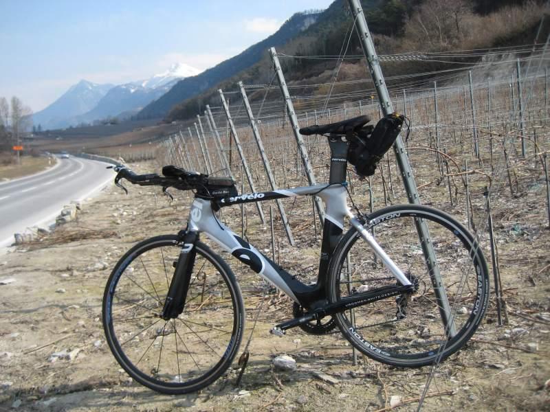20100309_Wallis_Reben-009.jpg