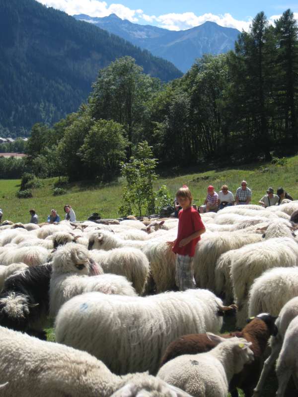 20100912_Leukerbad-048.jpg