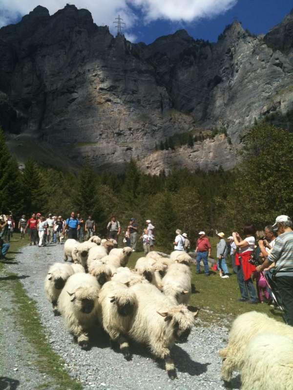 20100912_Leukerbad-085.jpg
