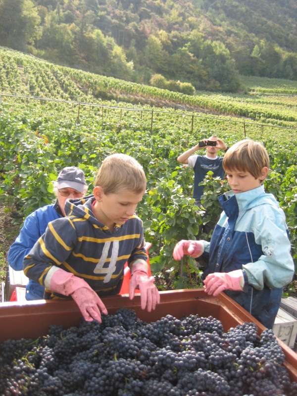 20101001_Vendange.jpg