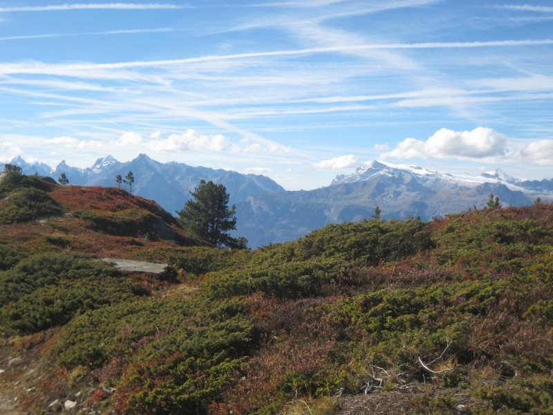 20101002_Nax-034.jpg