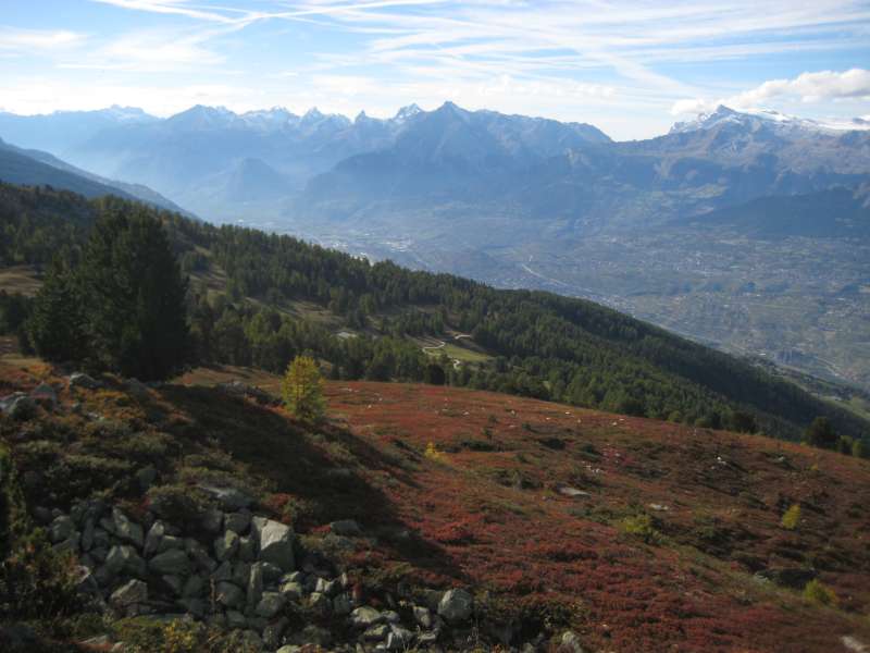 20101002_Nax-039.jpg