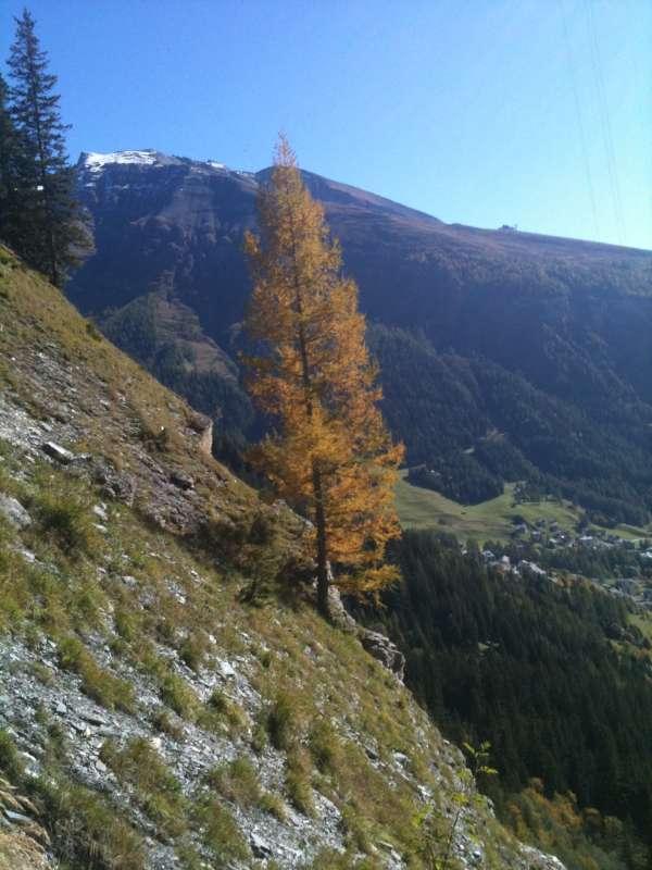 20101007_Bisse_Varonne_Gemmi_Leukerbad-010.jpg
