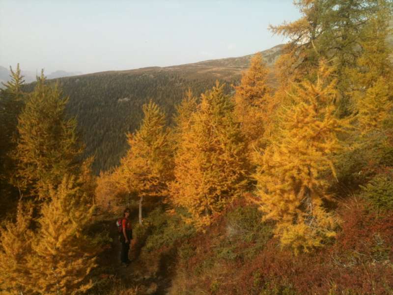 20101008_Alpage_Mase_Nax-021.jpg