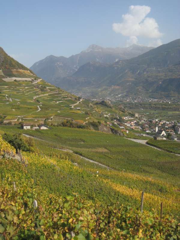 20101009_Bisse_Claveau-014.jpg