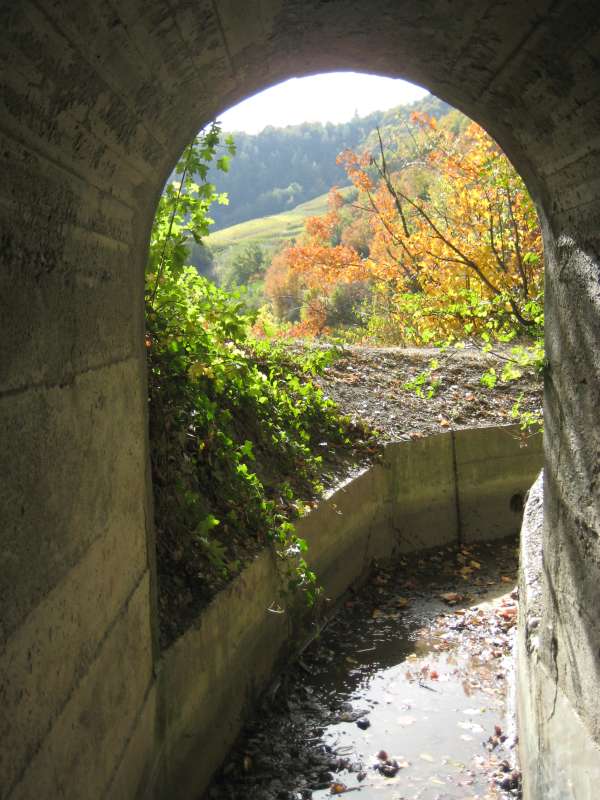20101009_Bisse_Claveau-023.jpg