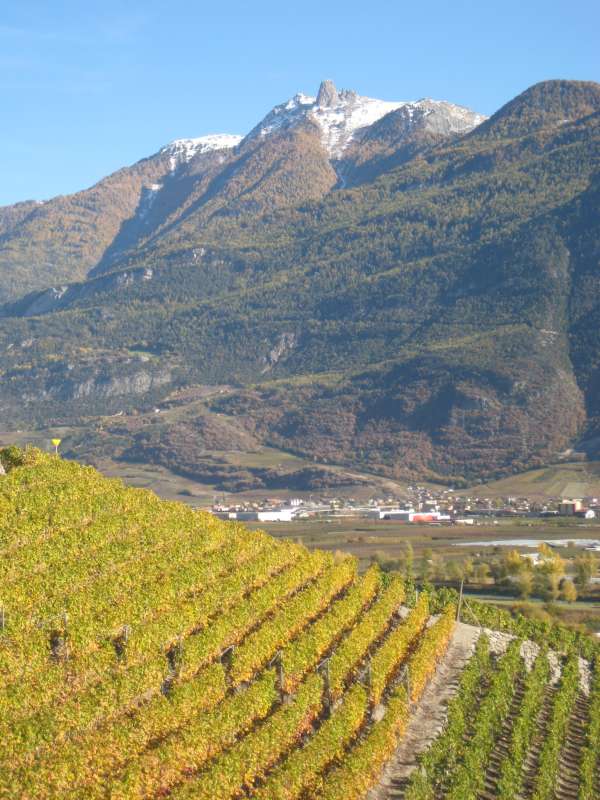 20101029_Weinweg_Martigny-Saillon_022.jpg