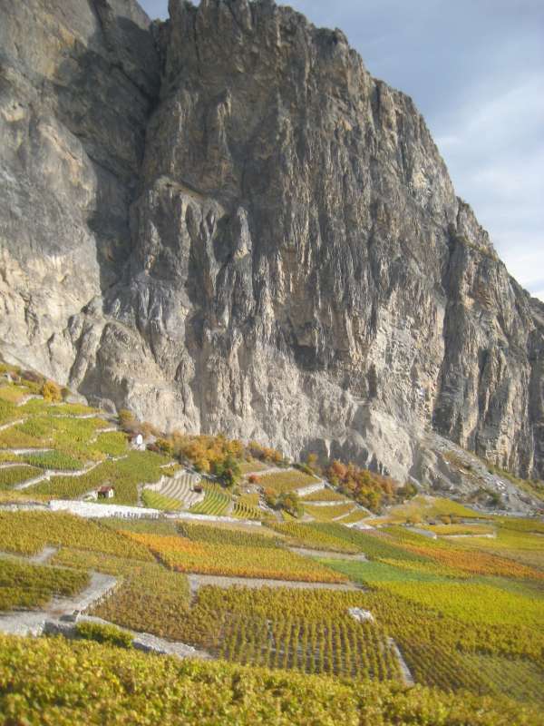 20101030_Weinweg_Saillon-Grone_038.jpg