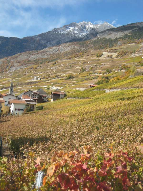 20101030_Weinweg_Saillon-Grone_053.jpg