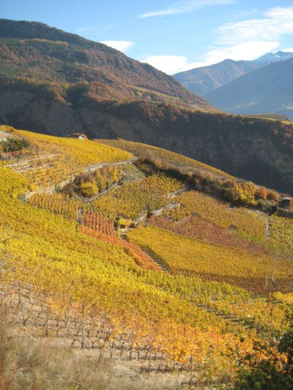 20101106_Bisse_Vlaveau-La_Derupe_016.jpg