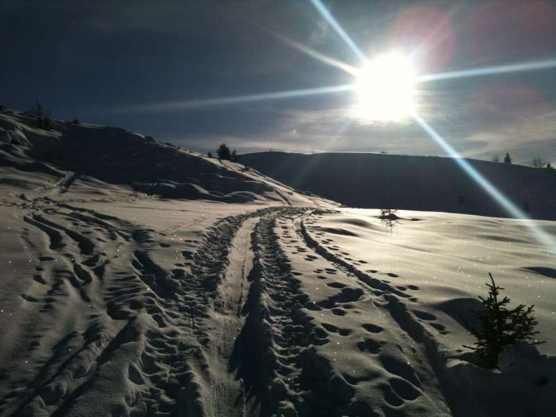 20101229_Nax_005.jpg