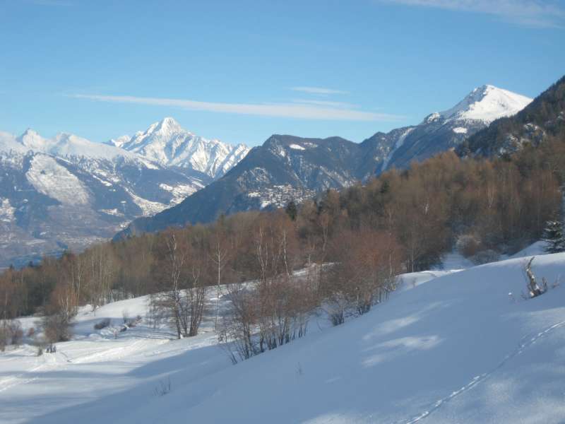 20101230_Nax_011.jpg