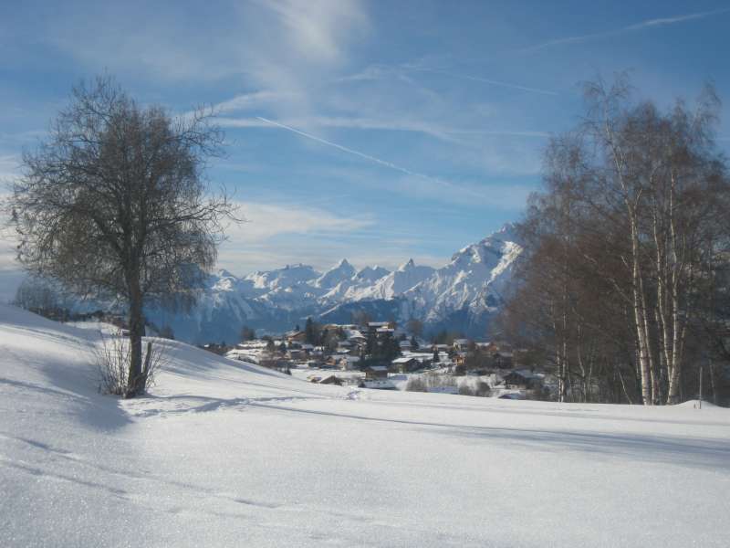 20101230_Nax_016.jpg