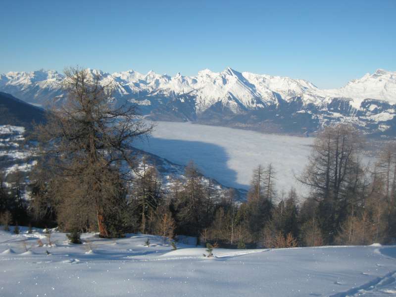 20101231_Nax_014.jpg