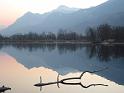 20100309_Wallis_Reben-004