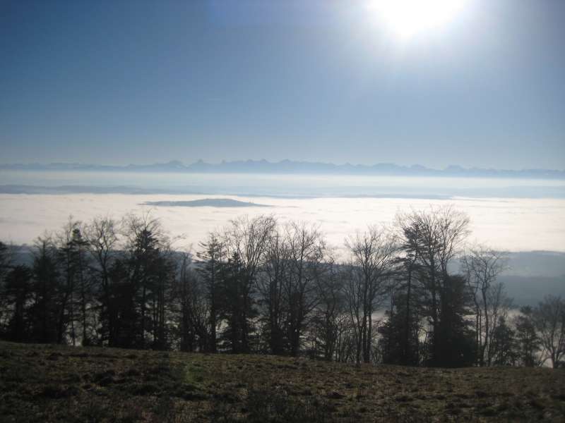 20110116_Boezingenberg.jpg