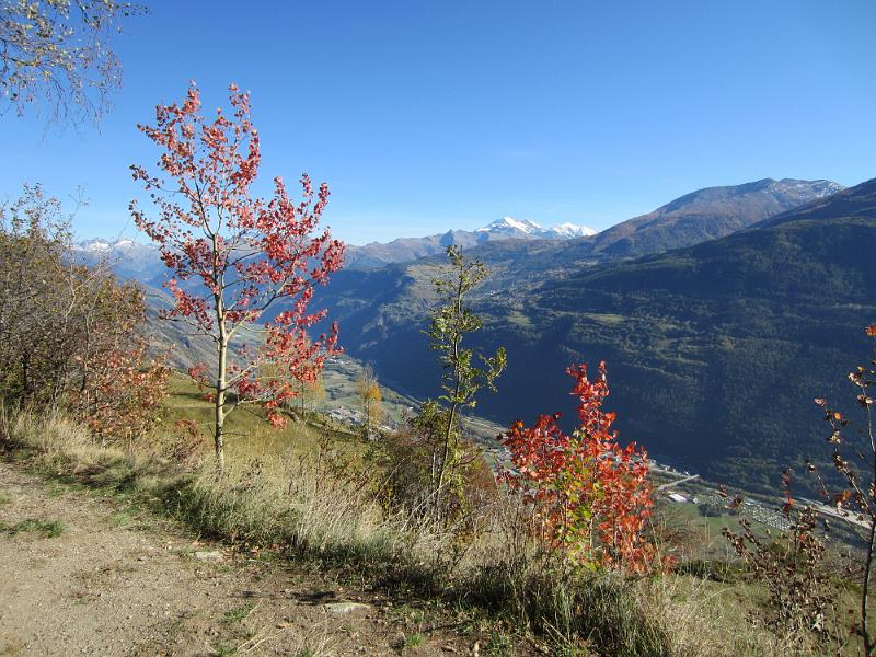 20111016_Jeizi_Berglauf-041.JPG