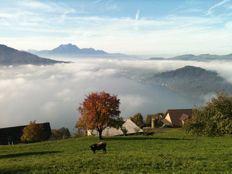 20111029_Oberwil_Zugerberg_004.JPG