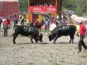 20110506_Combat_Reines_Aproz-012