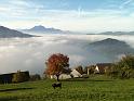 20111029_Oberwil_Zugerberg_004
