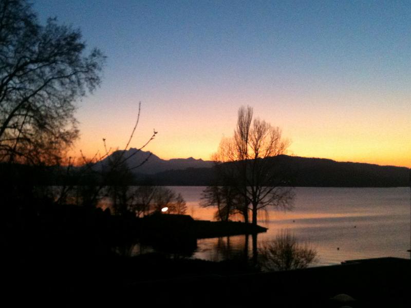 20120114_Neujahrslauf_007.JPG