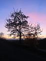 20120401_Kaiserstuhl-024