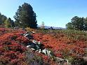 20121005_121942