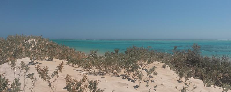 20131004_133539.jpg