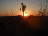 20130922_171408_Bungle_Bungle