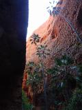 20130923_070353_Bungle_Bungle