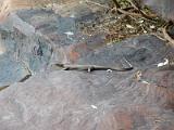 20130924_145701_Gibb_River_Road