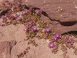 20131008_103909