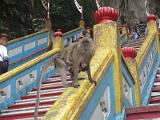 20131011_103234_Batu_Caves_KL