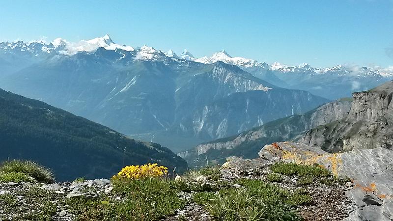 20140716_101248.jpg - 16.7. Aussicht von Gemmi auf Walliser Alpen
